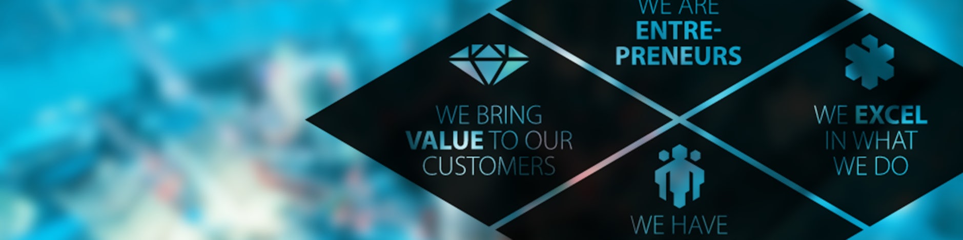 Datwyler Values